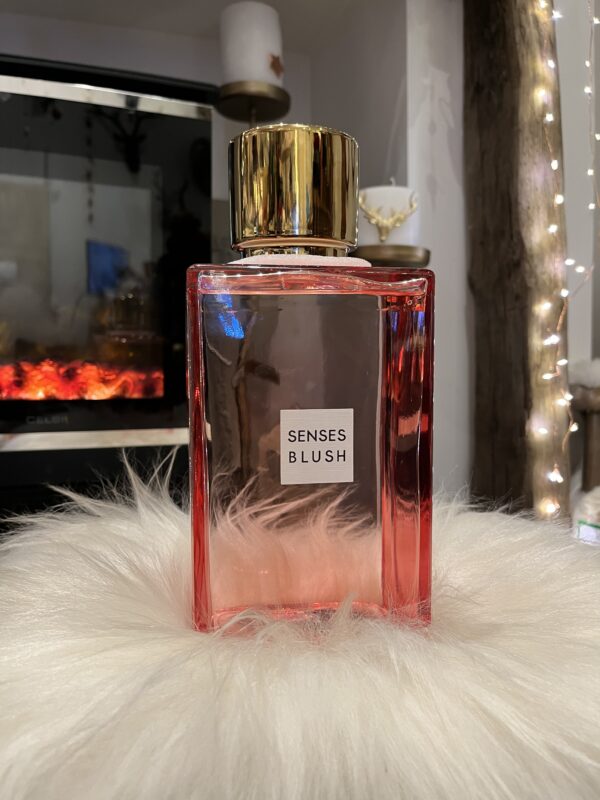 Sences Extra Large Reed Diffuser - Blush