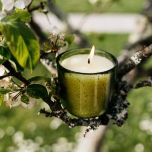 ST EVAL WALLED GARDEN CANDLE