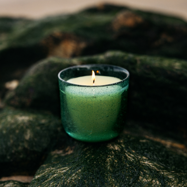 ST EVAL SEA MOSS & DRIFTWOOD CANDLE