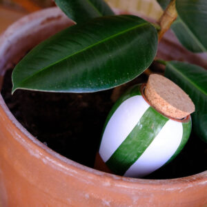 OLLA WHITE AND GREEN (STRIPED)