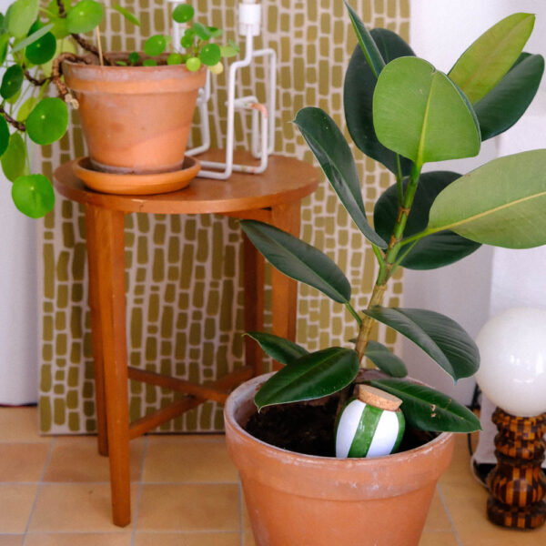 OLLA WHITE AND GREEN (STRIPED) - Image 2