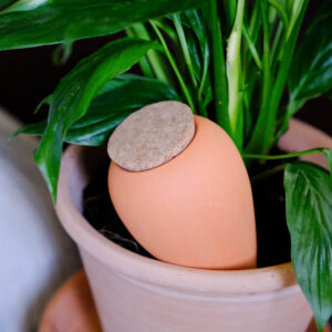 OLLA TERRACOTTA