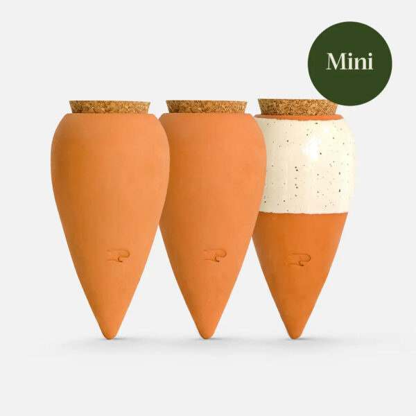 OLLA MINI TRIO SET - Image 2