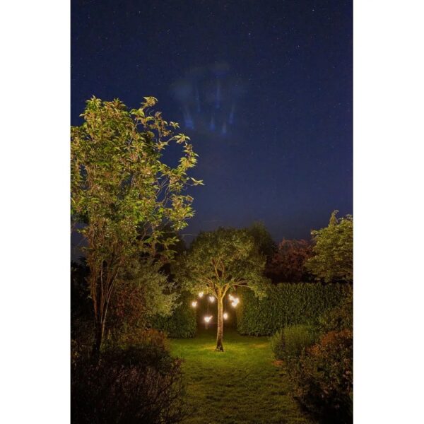 HANGING ROBYN LIGHTS - Image 2