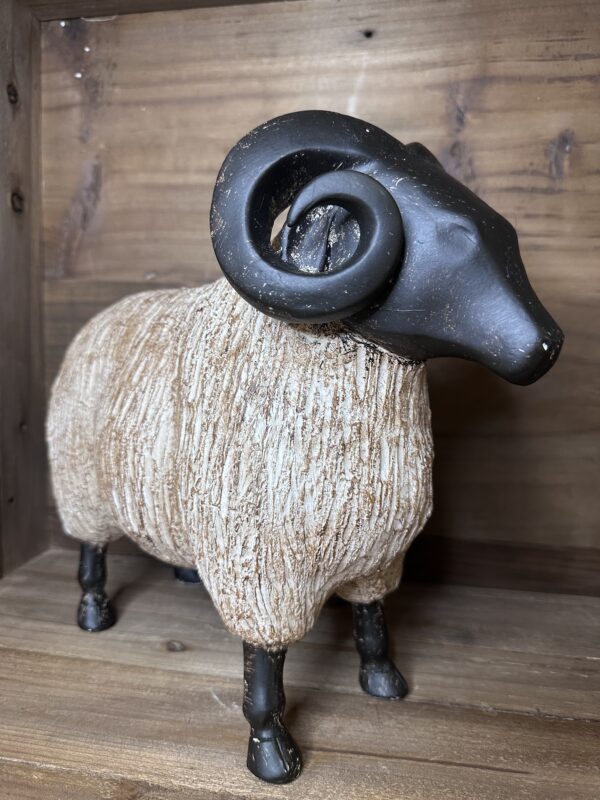 THE LAMB