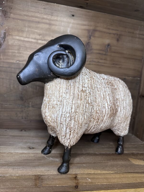 THE LAMB - Image 2