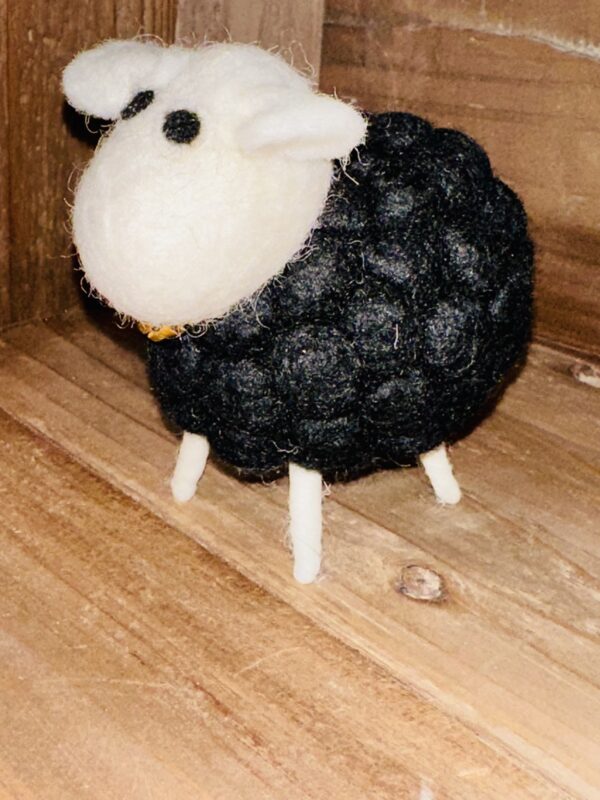 GINGER THE SHEEP (MAINLY BLACK) - Image 2