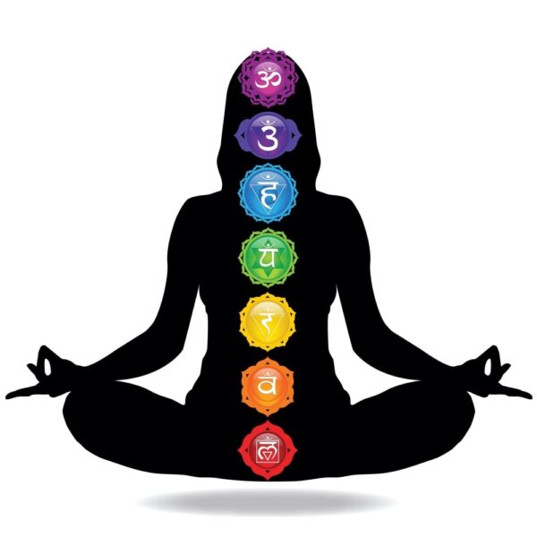7 CHAKRA’S RAW CRYSTAL WINDOW HANGING - SILVER TONE - Image 3