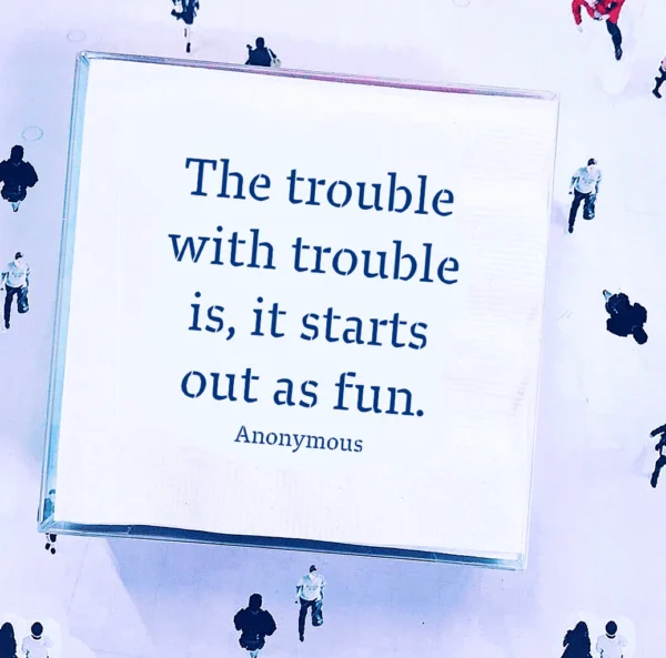 THE TROUBLE WITH TROUBLE AMUSING COCKTAIL NAPKINS - 40 - Image 3