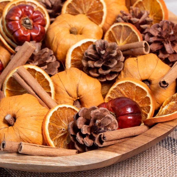 PUMPKIN SPICE FRAGRANCE POTPOURRI - Image 2